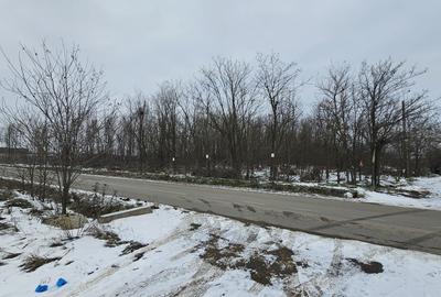 Teren intravilan 2667 mp Sabareni la intrare din Zurbaua | Comision 0 - 1