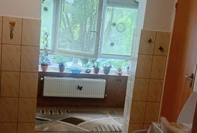 Apartament 3 camere in zona Dunarii Intre Lacuri - 9