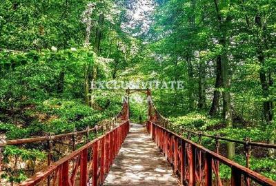 0% Vanzare teren si constructie Locatie de exceptie Calimanesti Calea lui Traian - 3