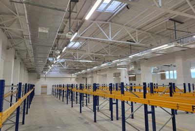 Spatii depozitare - conditii ideale pentru arhiva, management documente etc. - 6