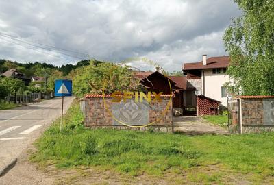 Casa de vacanta / pensiune I 5 camere I 414mp teren I Gura Teghii - Nemertea - 14