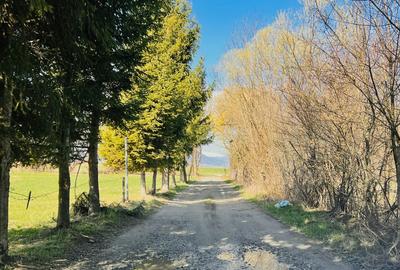 Teren intravilan Râșnov – Glejerie  5 parcele x 1000 mp  Capăt Str. Greierilor - 4