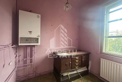 Casa individuala pe 2 nivele in Timisoara zona Balcescu - 9