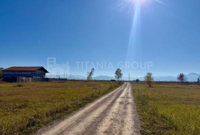 Teren intravilan, PUZ aprobat, 800 mp, Fish4Life - Harman, Brasov - 5