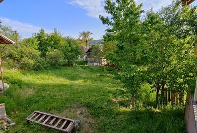Casa+ casa batraneasca Surupate(Comuna Francesti, Valcea) - 6