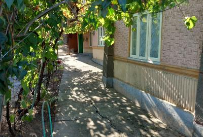 Casă individuală cu 3 camere în Sălciile