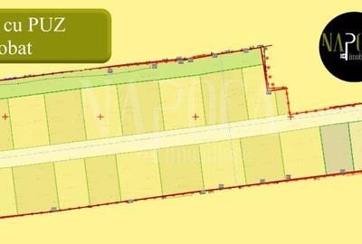 Teren Construcții intravilan de 6540 mp, în Gruia