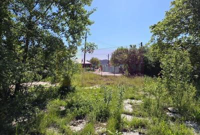 Teren intravila 40.679 mp in Campina, dezvoltare imobiliara - 6