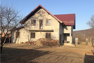 Vilă în Pătrăuți + 8400mp teren - 19