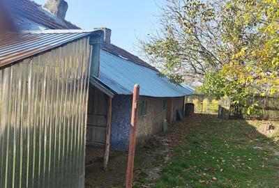 Anunț Vânzare Proprietate Rurală – sat Bușca, comuna Mihăiești, județul Olt - 6