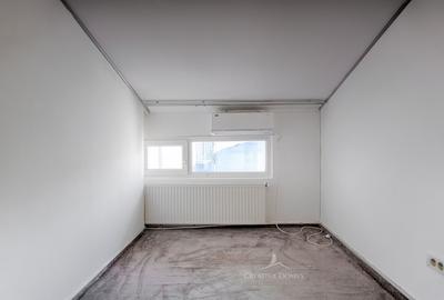 Piata Muncii - Vila cu 10 camere, 366 mp utili - 17