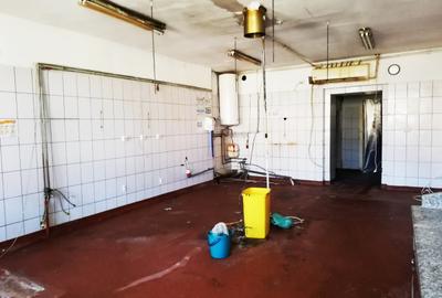 2 apartamente de vanzare in Piata Mica, Sibiu - 10