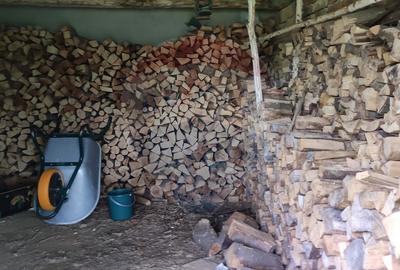 De vanzare casă cu teren 1,17ha la munte, Munteni, Bulz, spre Hiltop - 15