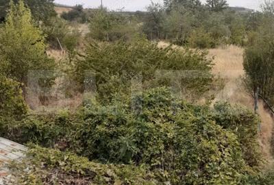 Teren Construcții extravilan de 4908 mp, în Nord