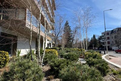 3 CAMERE || CORTINA 126 || EROUIANCU NICOLAE - 12
