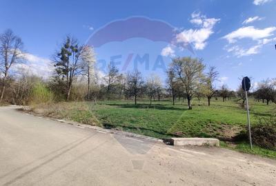 Teren intravilan pentru casă Cărbunari - 1