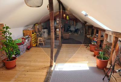 Vanzare casa  4 camere-microferma, cu panouri fotovoltaice - 14