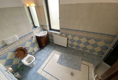 Vila superba - 7 camere - vanzare - Iancu Nicolae - Padurea Baneasa - 22