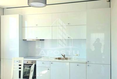 Penthouse Malul Muresului - 6