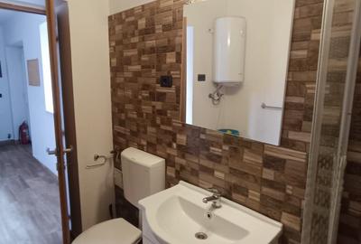 Oferta Primavara!Spatiu ComerciaL Vad Excelent, Gradiște Arad - 9