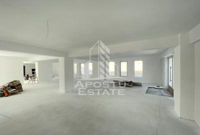 Spatiu comercial 238 mp, zona Lipovei , artera circulata - 5