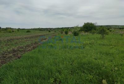 Comision 0%! Oportunitate, teren intravilan, 800 mp Masterplan, Sopor - 3