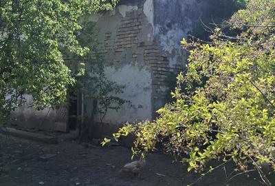 Casa pentru renovare  in Nadlac cu teren 1472mp - 12