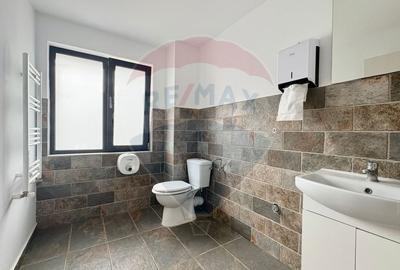 Spațiu de birouri  zona 13 Decembrie- Etaj 1 - 11