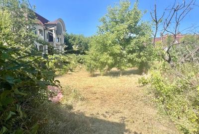 Casa de vanzare la curte comuna Zona Lunei - COMISION 0% - 21