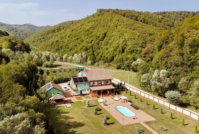 Proprietate Deosebita - Liziera Padurii - 41