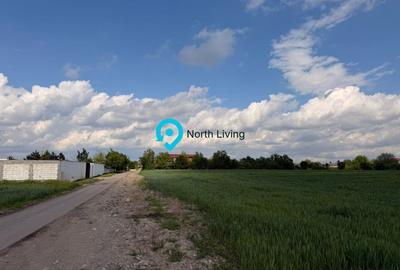 Teren Snagov - Cioflinceni | Drum amenajat | Aproape de Padure si Lac - 2