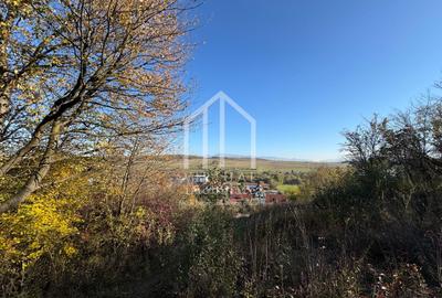 Teren de vanzare in Sibiu - 792 mp utili - INTRAVILAN - zona Cisnadie - 1