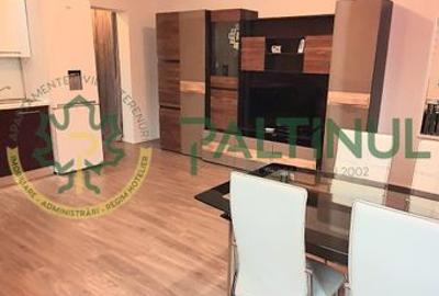 Apartament cu 2 camere în zona Doamna Stanca - 1