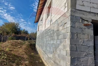 Casa la rosu de vanzare in Caiuti, Bacau - 19