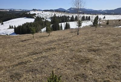 Teren intravilan 1500 mp – Zonă deosebită, Piatra Fântânele - 1