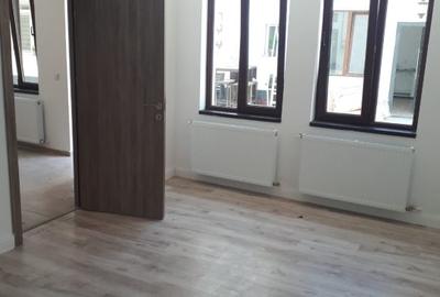 Apartament 2 camere Calea Calarasilor cu gradina - 5
