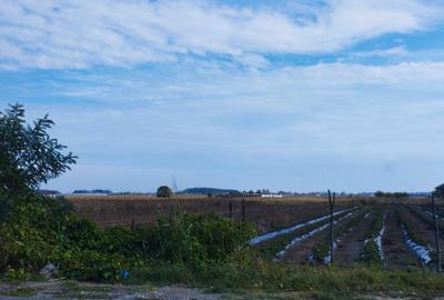 Teren Construcții intravilan de 1995 mp, în 1 Decembrie