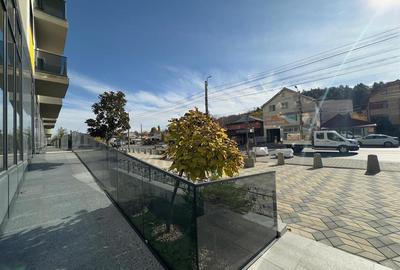 Spatiu comercial intabulat de vanzare, 420mp, Pasaj Bucium - 36