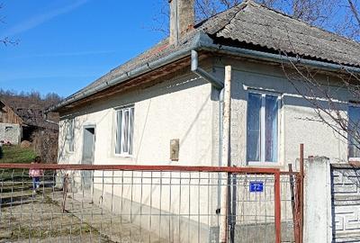 Casă de vânzare la tară la drumul principal - 1