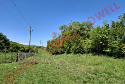 De vânzare teren intravilan de 30 000 m² (3 ha) în Reghin - 16