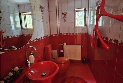 Vila lux 5 camere cu gradina superba centru Domnesti - 18