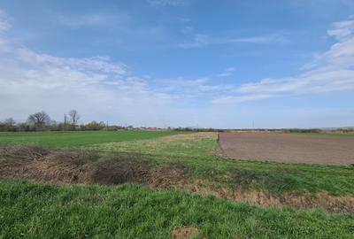 TEREN INTRAVILAN DE 2134 MP CU DRUM PROPRIU ÎN PREJMER – IDEAL PENTRU INVESTIȚIE - 4