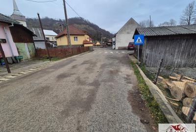 Casa de vanzare in Zlatna-Trimpoiele - 2