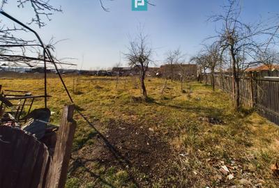 Casă cu Potențial Imens în Șipet, Comuna Tormac - 21