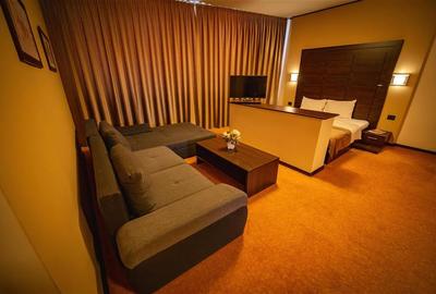 Timisoara, OPORTUNITATE INVESTITIE, hotel, clinica sau azil, 41 camere - 16