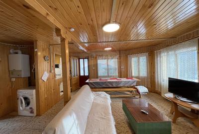 Casa de vacanta Predeal, langa padure, istoric airbnb - 6