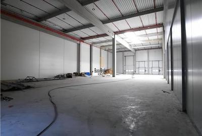 Spatiu Industrial - 2500 mp - Logistica - Productie - Depozitare - Distributie - 10