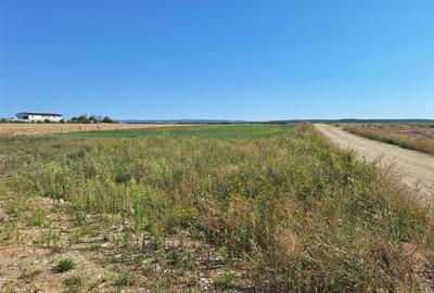 Teren Construcții intravilan de 728.18 mp, în Oșorhei