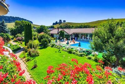 Hotel Bielmann,unicitate si profitabilitate optima in turism,Sanpetru, Brasov - 13