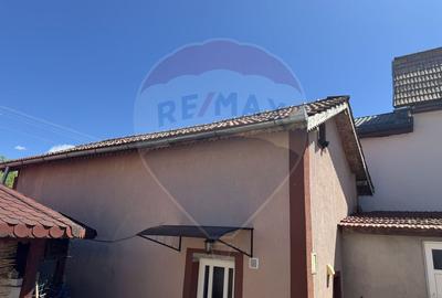 Magazin alimentar modernizat si locuinta. Investitie Salicea - 12